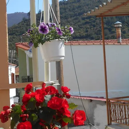Apartmán Eveline House *