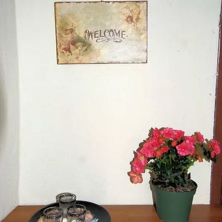 Eveline House * Kallirakhi