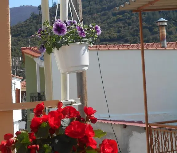 Apartament Eveline House *